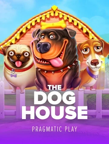 The Dog House by Pragmatic Play, 96.5% RTP, on Kachingo Casino